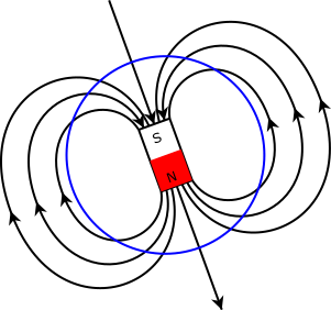 Earth's magnetic poles