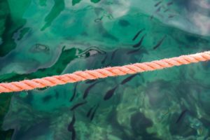 rope over green water